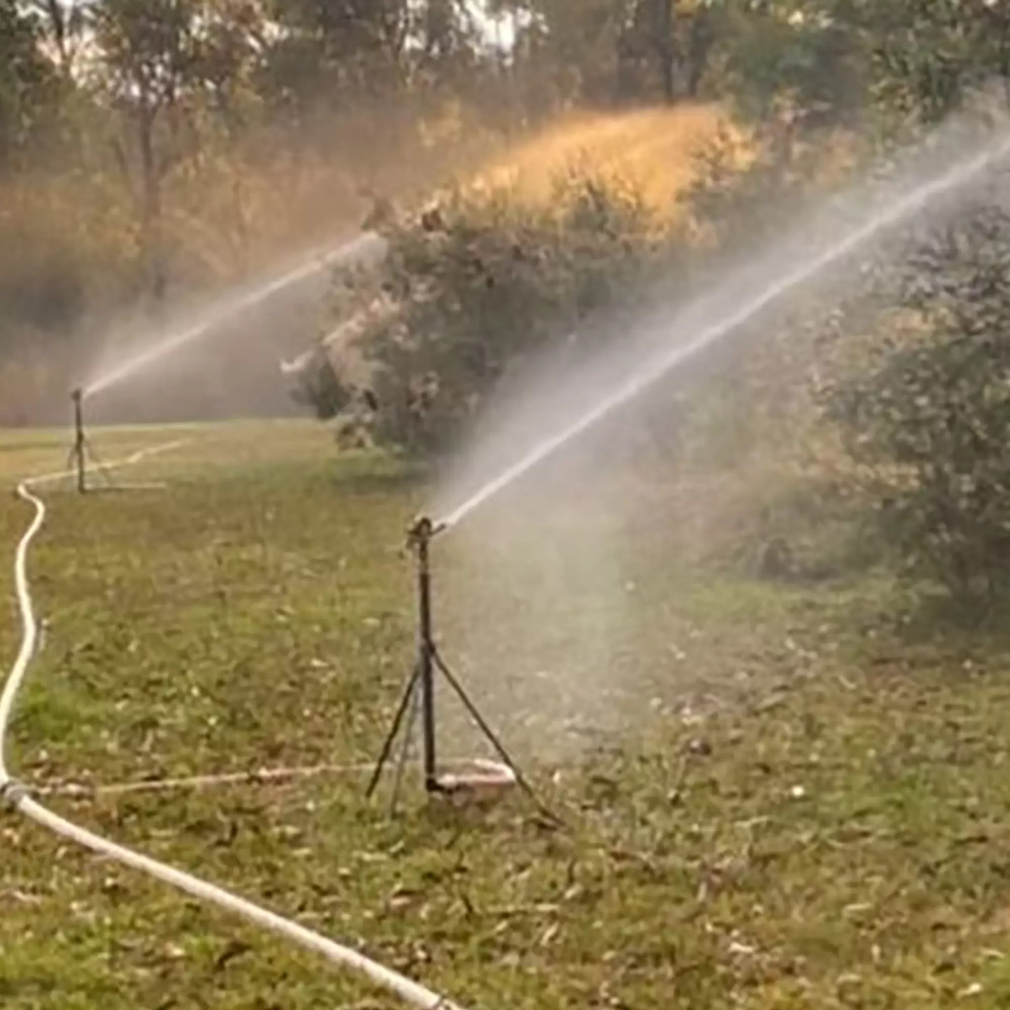 The Importance of Proper Sprinkler Positioning